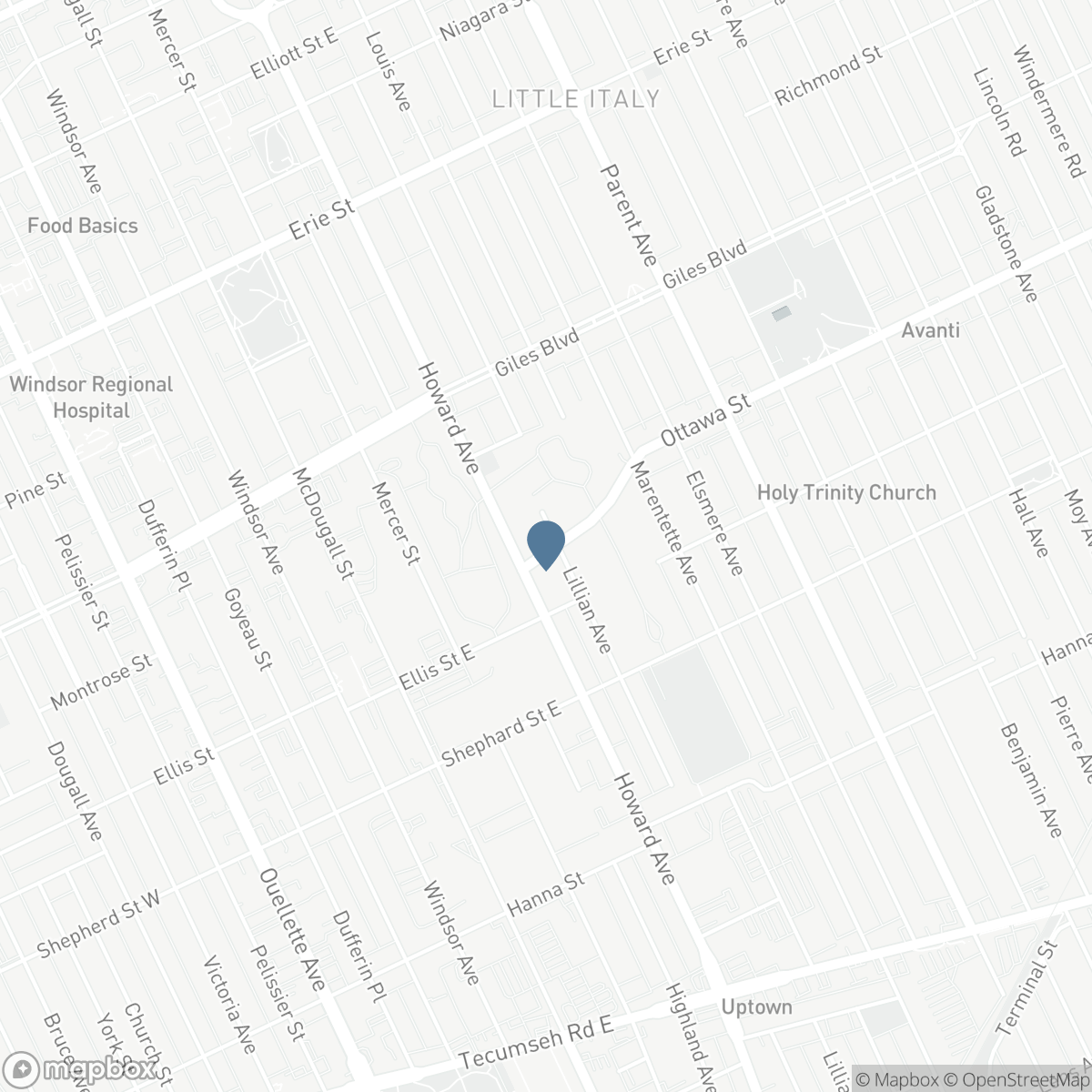 1343 Lillian, Windsor, Ontario N8X 4A4